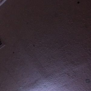 Meet your Posher, Diego